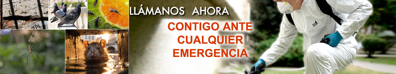 Fumigación control de plagas