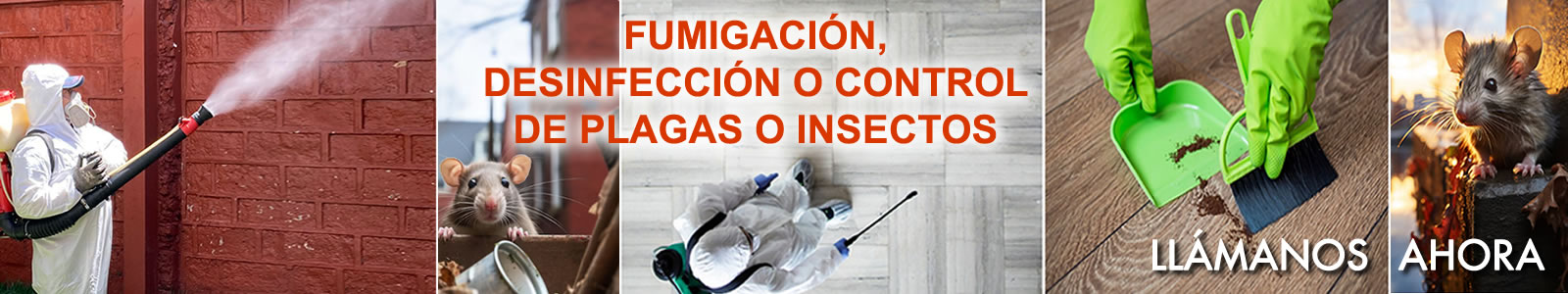 Fumigación control de plagas