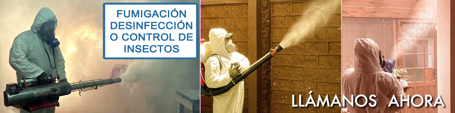 Fumigación control de plagas, insectos rastreros y aéreos, desinfección de ambientes