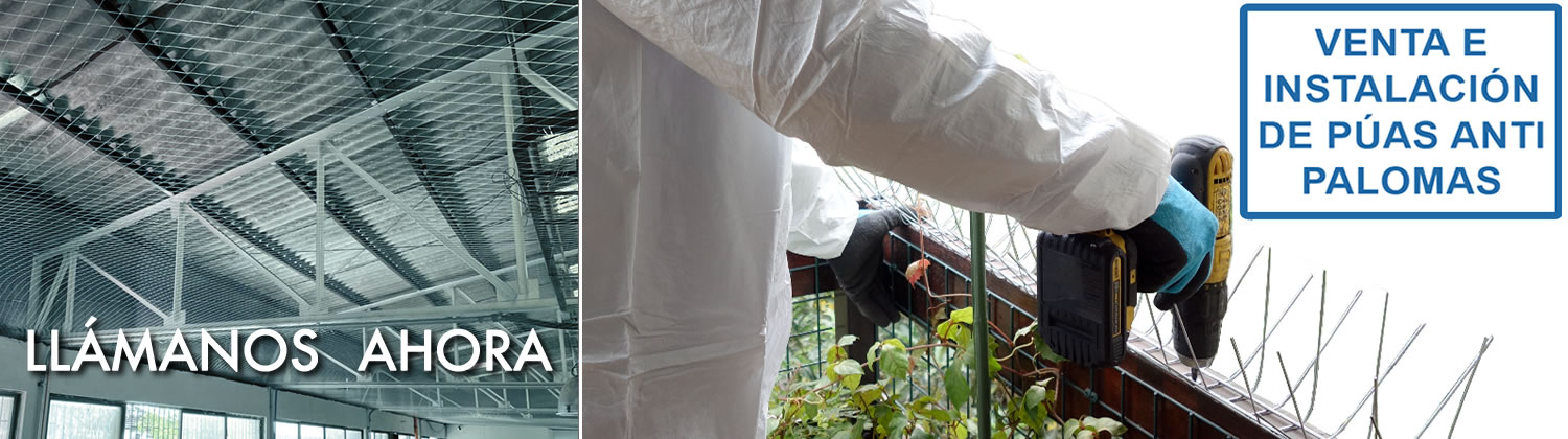 Venta e instalación de púas antipalomas