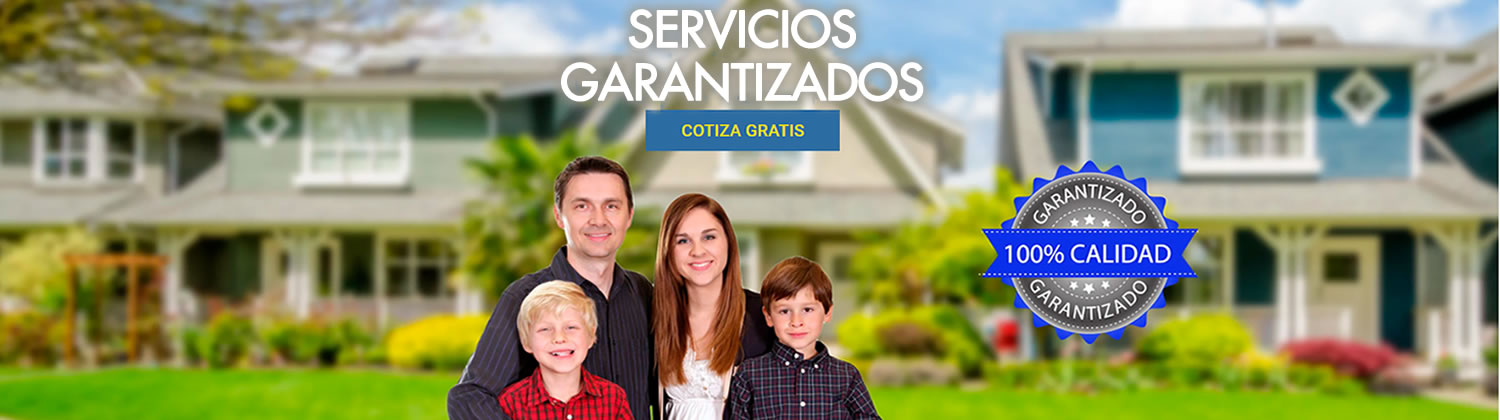 Servicio integral de prevención y control de plagas