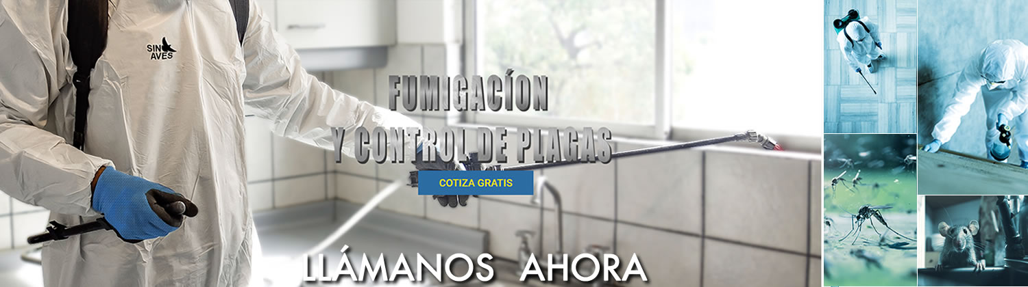 Fumigación, desinfección y control de insectos